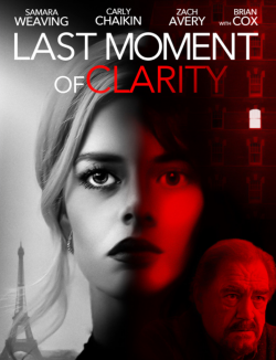 Last Moment of Clarity - FRENCH HDRip