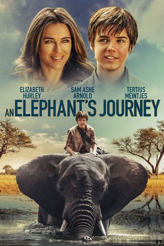 An Elephant's Journey WEB-DL 720p French