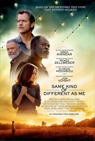 Same Kind Of Different As Me BDRIP French