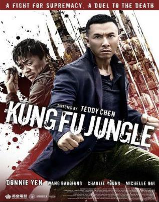 Kung Fu Jungle BDRIP VOSTFR